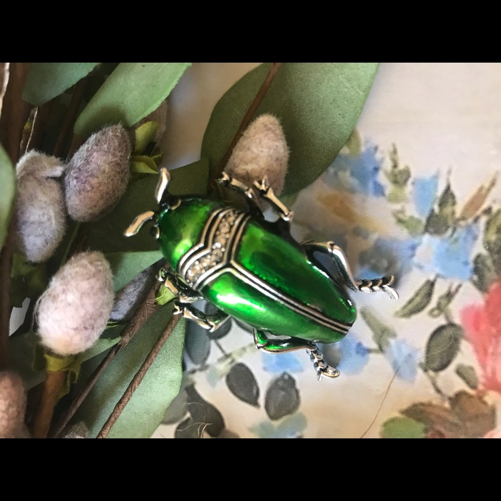 Beetle brooch - Picture 3 of 10
